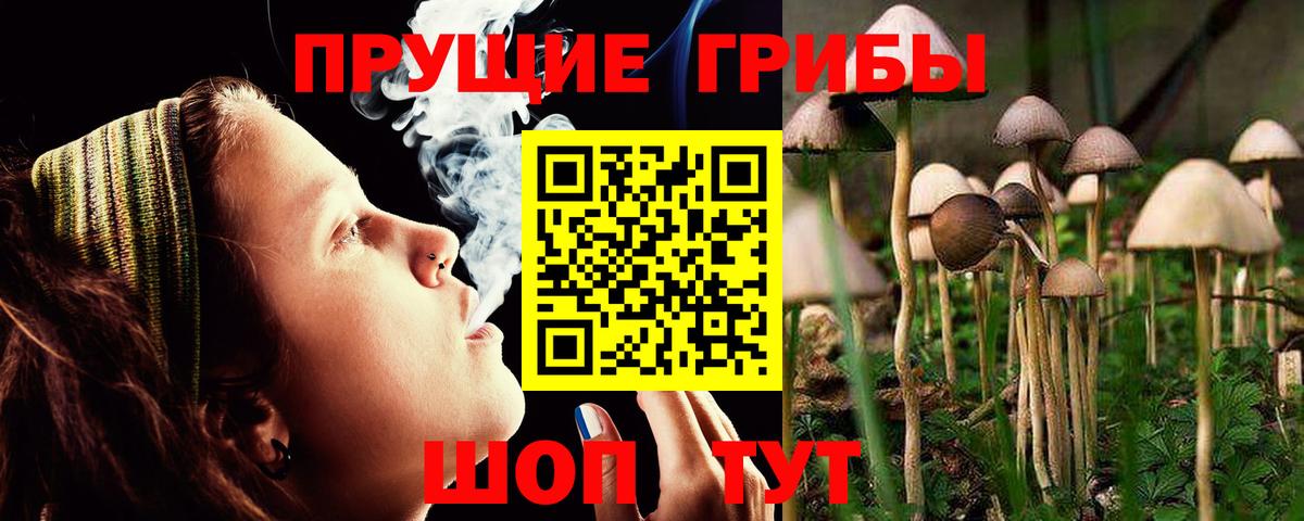 хочу   Галлюциногенные грибы Psilocybe  Вход с VPN  Серпухов 